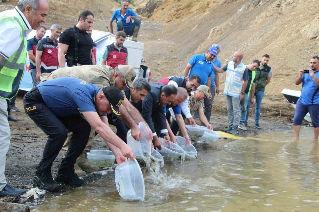 Bingöl’de 1 milyon yavru sazan baraj ve göletlere bırakıldı