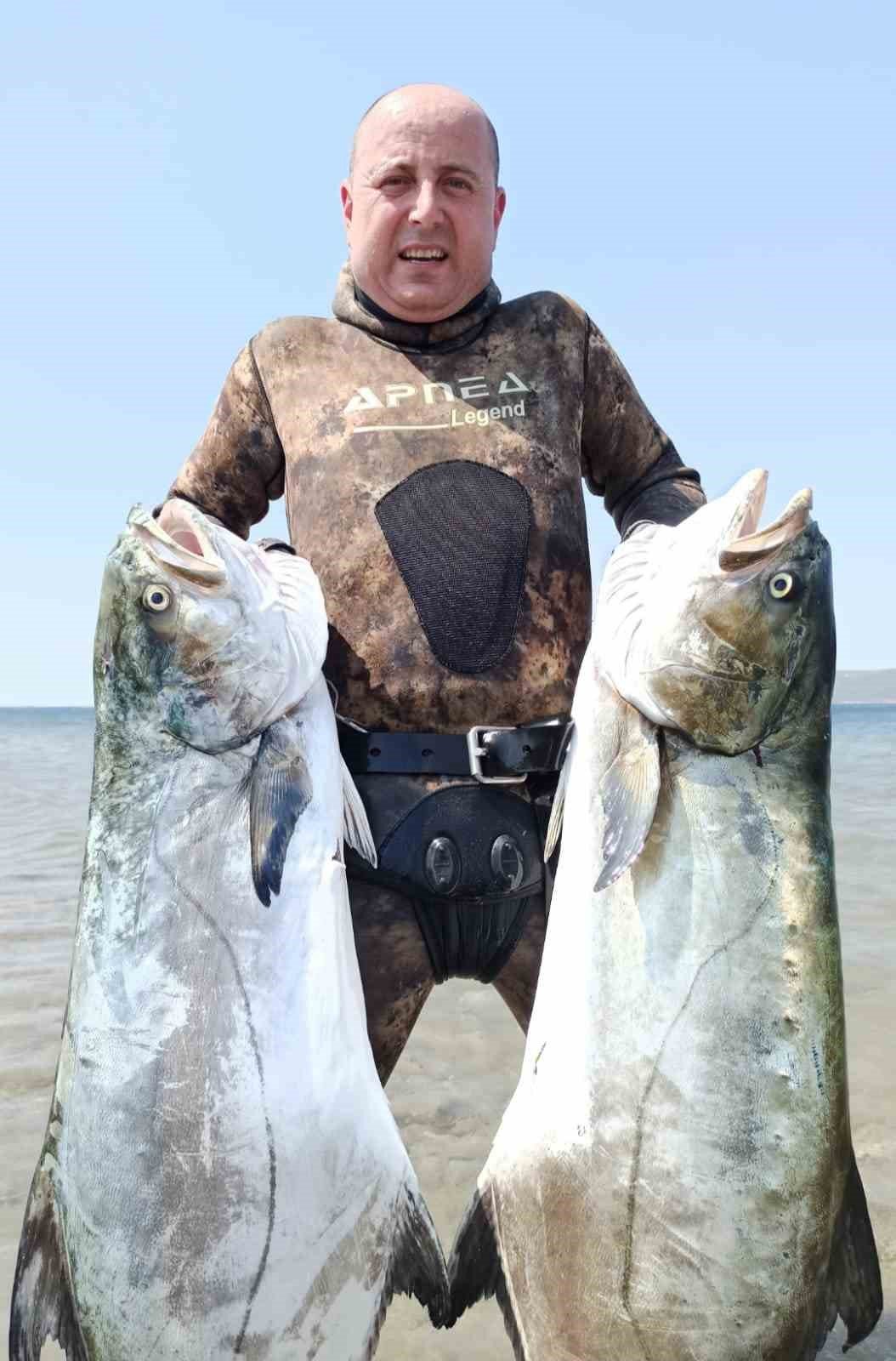 Zıpkınla 30 kiloluk iki tane liça avladılar