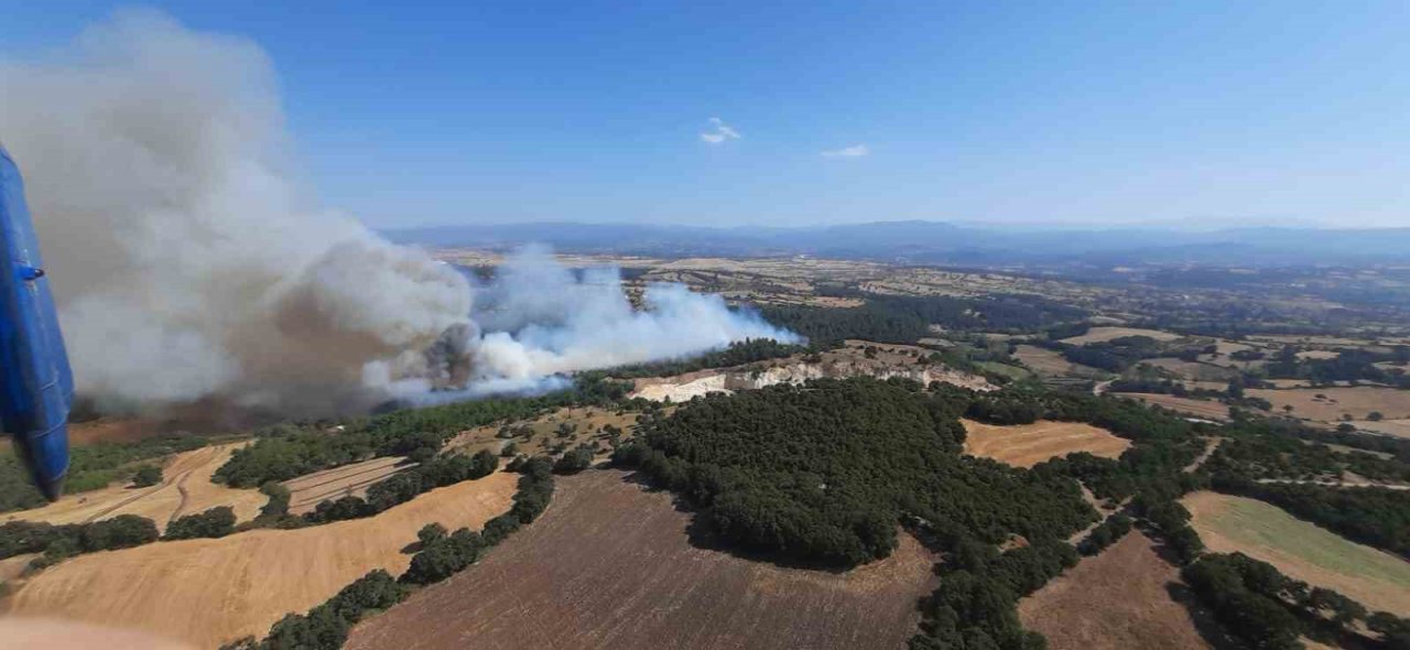 Çan’da orman yangını