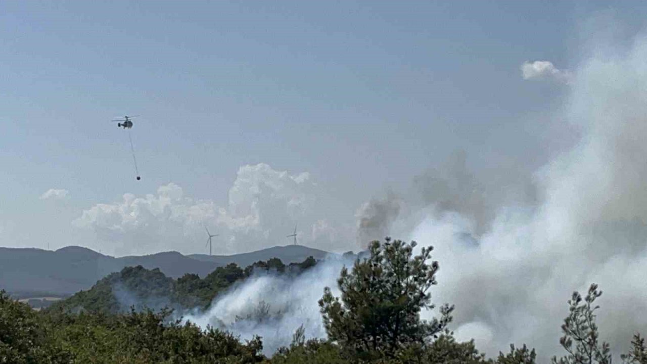 Çan’da orman yangını