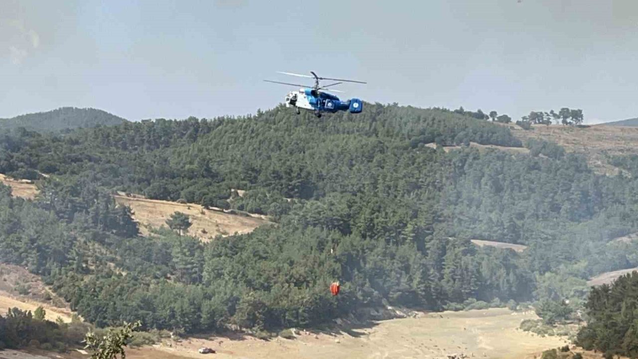 Çan’da orman yangını