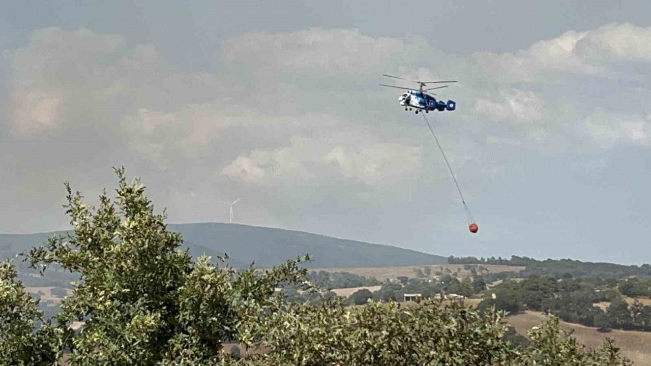 Çan’da orman yangını