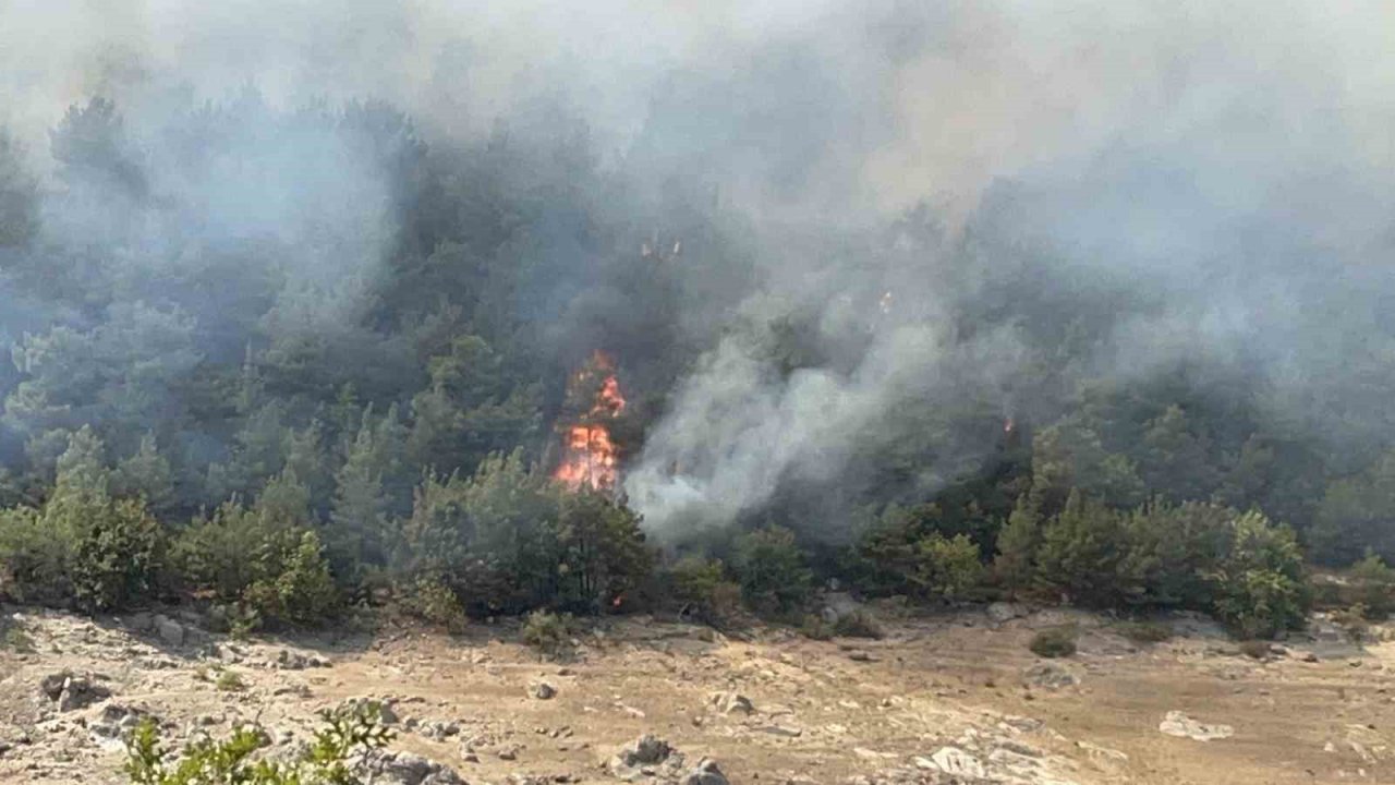 Çan’da orman yangını