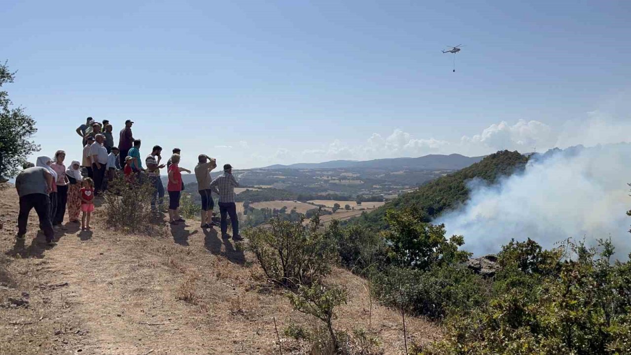 Çan’da orman yangını
