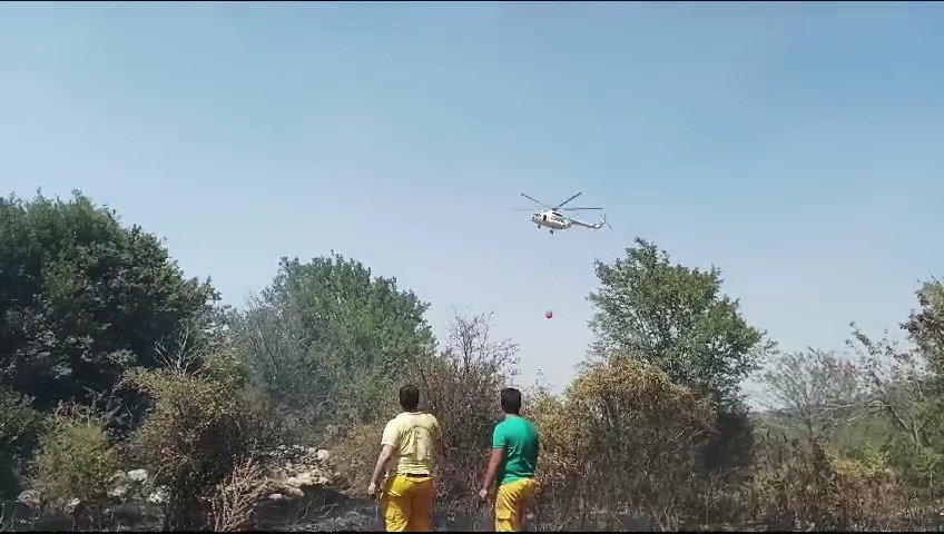 Örtü yangını ormana sıçramadan söndürüldü