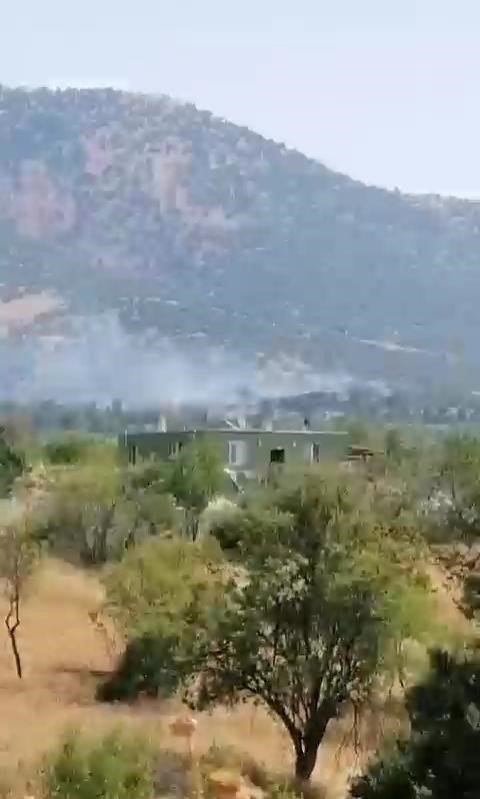 Örtü yangını ormana sıçramadan söndürüldü