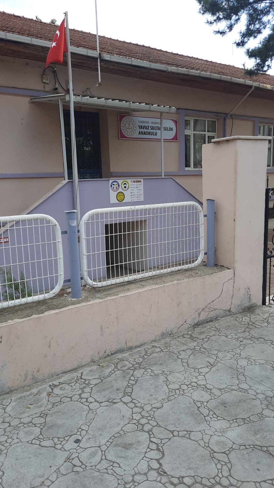 Okul bahçesinde yılan paniği