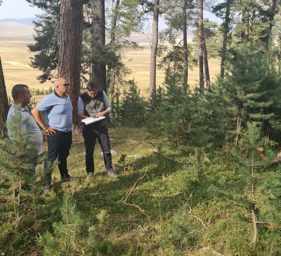 Ayatay; Orman varlığı bakımla büyür