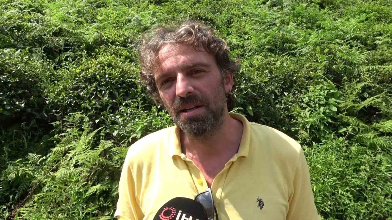 2 yıldır bahçelerde gözükmüyorlardı, artan sıcaklıklar ile yeniden ortaya çıktı