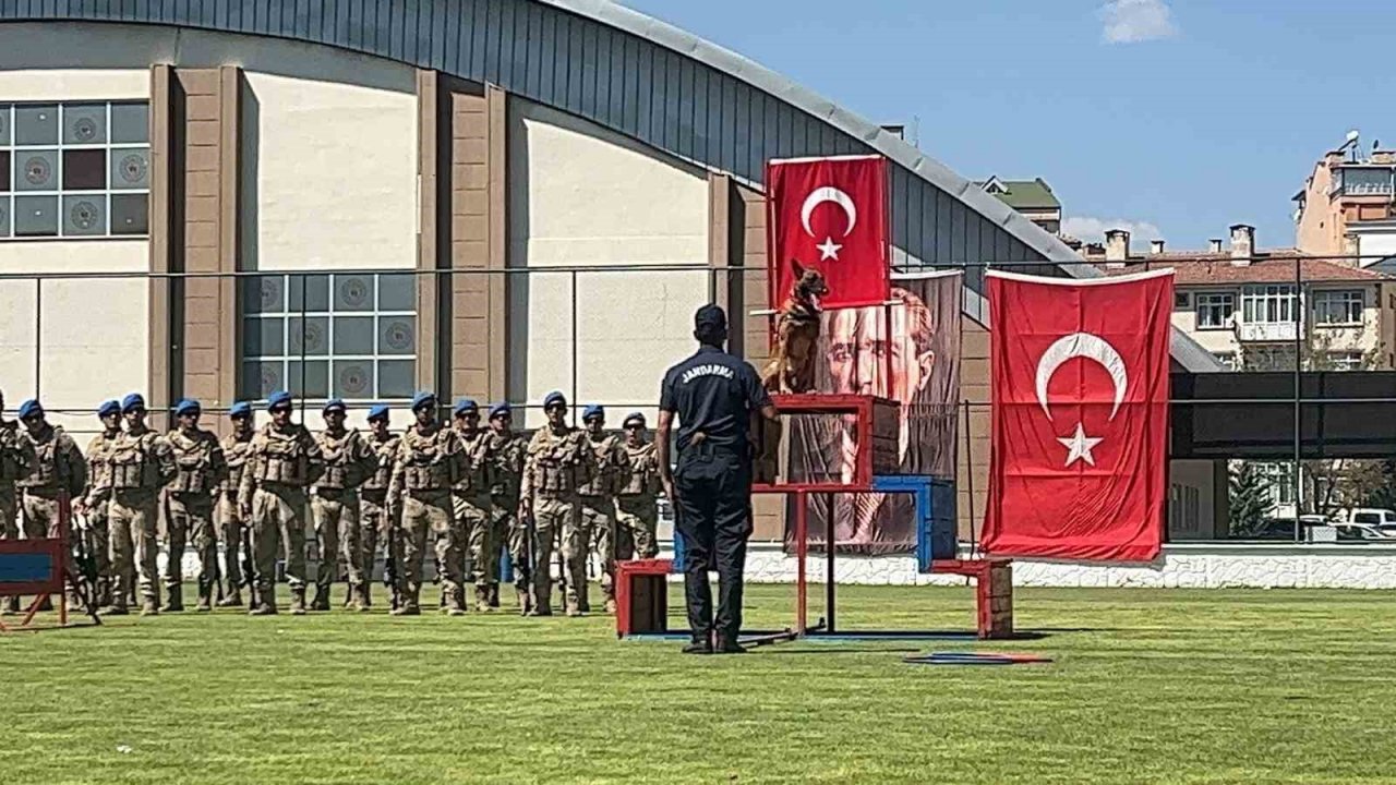 İtaat Köpeği Rüzgar’dan 30 Ağustos gösterisi