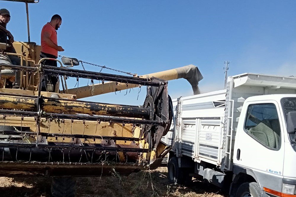 Akşehir Belediyesi atıl arazilerde tarıma başladı