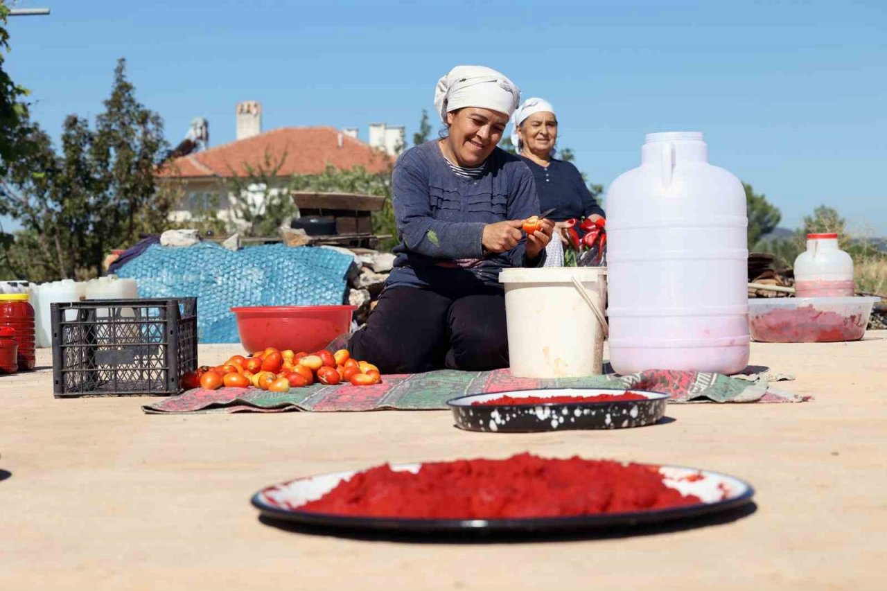 Muğla’da organik salça mevsimi