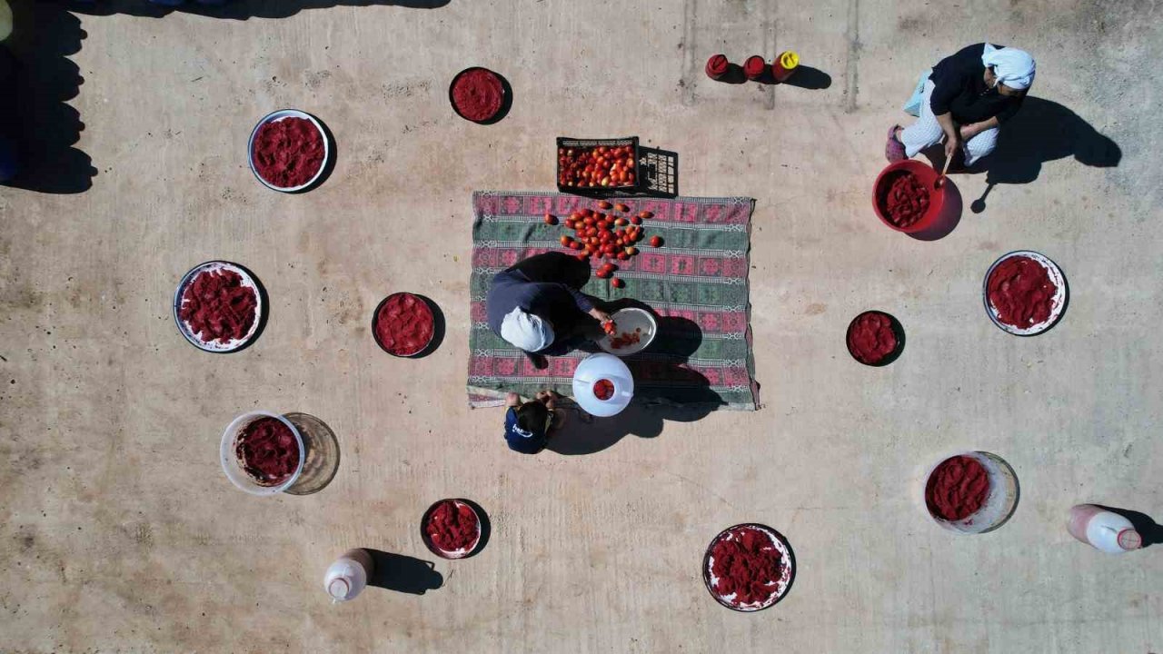 Muğla’da organik salça mevsimi