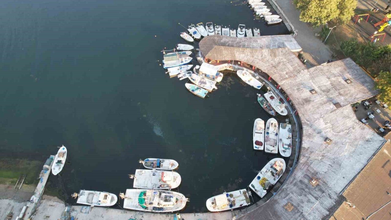 Yalova’da balıkçıklar hamsiden umutlu: “Vatandaşımız bu yıl mutlaka balık yer. Bu sene hamsi bol”