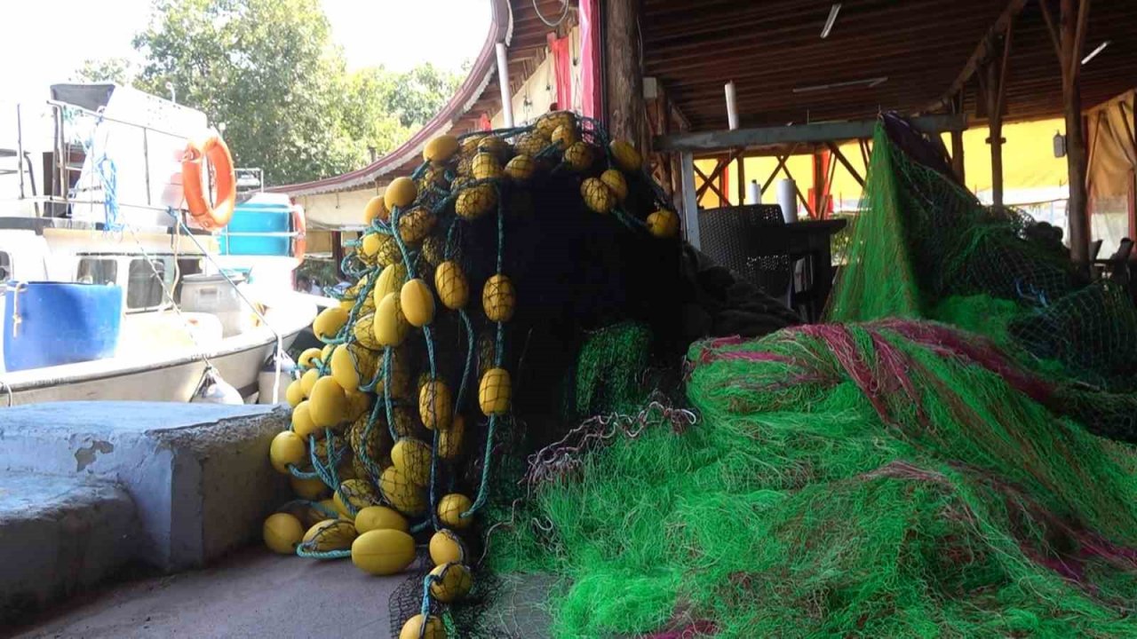 Yalova’da balıkçıklar hamsiden umutlu: “Vatandaşımız bu yıl mutlaka balık yer. Bu sene hamsi bol”