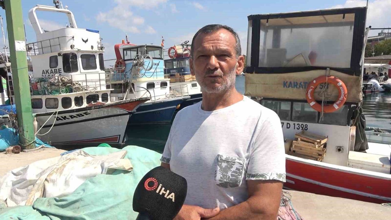 Yalova’da balıkçıklar hamsiden umutlu: “Vatandaşımız bu yıl mutlaka balık yer. Bu sene hamsi bol”