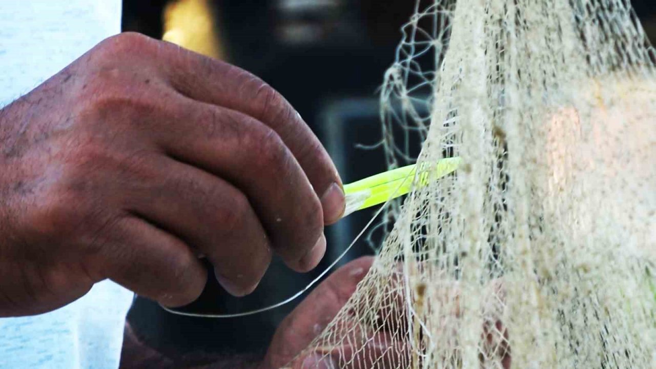 Yalova’da balıkçıklar hamsiden umutlu: “Vatandaşımız bu yıl mutlaka balık yer. Bu sene hamsi bol”