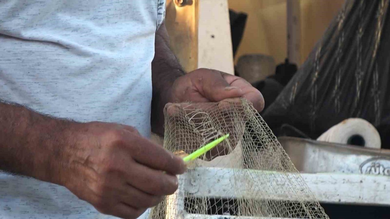 Yalova’da balıkçıklar hamsiden umutlu: “Vatandaşımız bu yıl mutlaka balık yer. Bu sene hamsi bol”