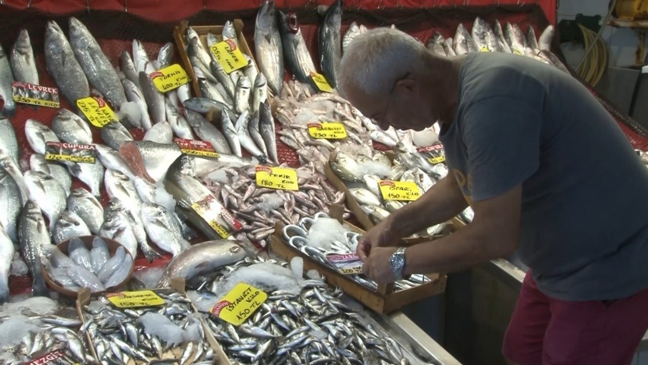 Balıkçılar av sezonundan umutlu