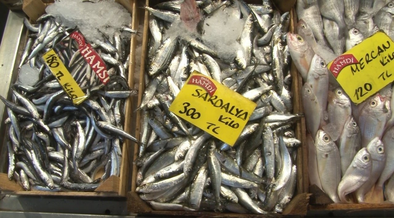 Balıkçılar av sezonundan umutlu