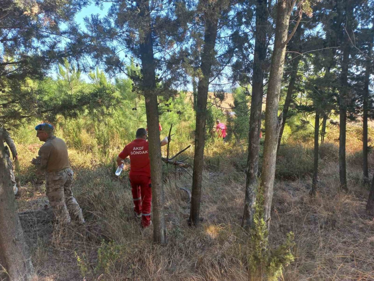 Berzeg için ormanlar karış karış aranıyor