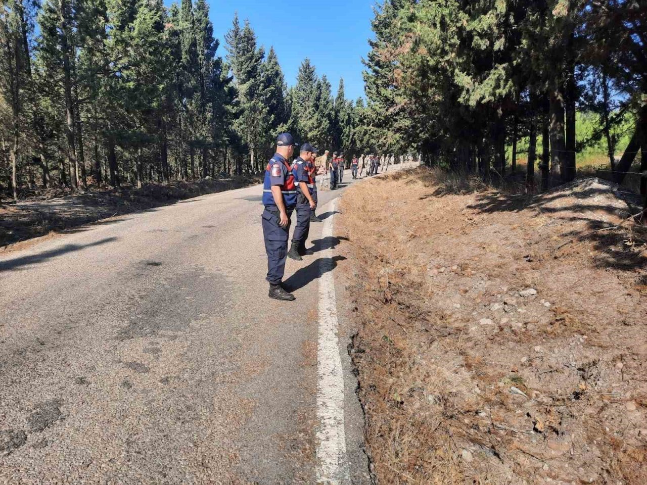 Berzeg için ormanlar karış karış aranıyor