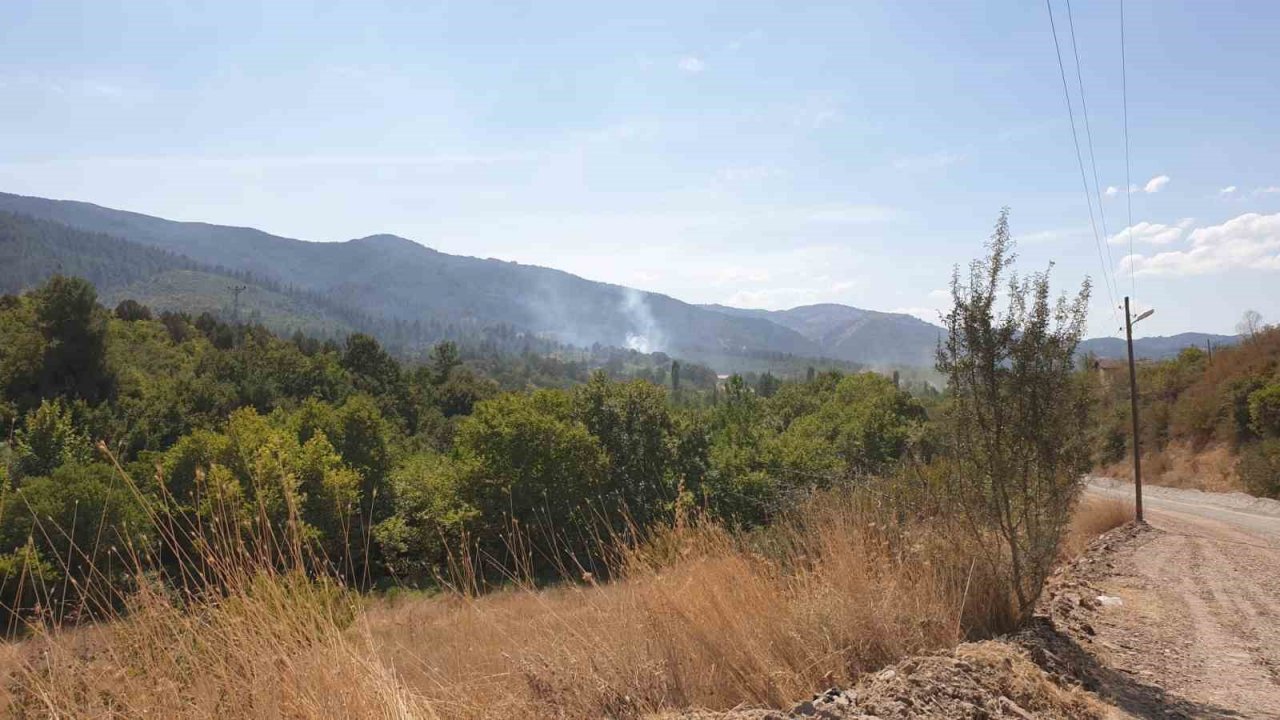Orhaneli’de ormanlık alanda çıkan yangın söndürüldü