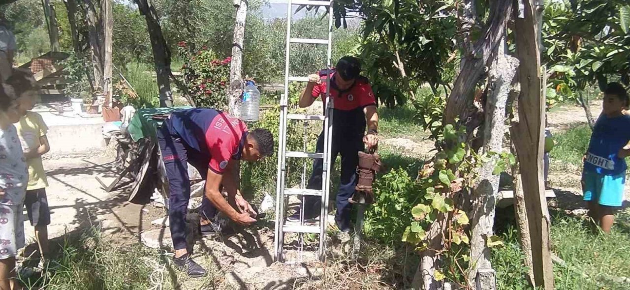 Kuyuya düşen kediyi top oynayan çocuklar fark etti