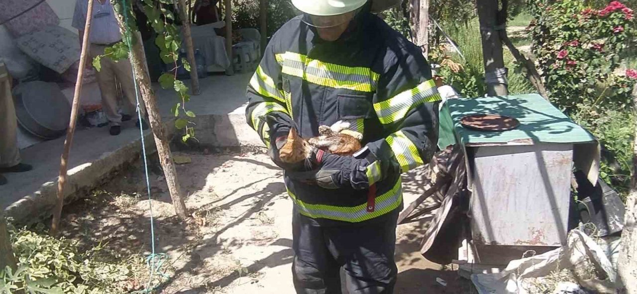 Kuyuya düşen kediyi top oynayan çocuklar fark etti