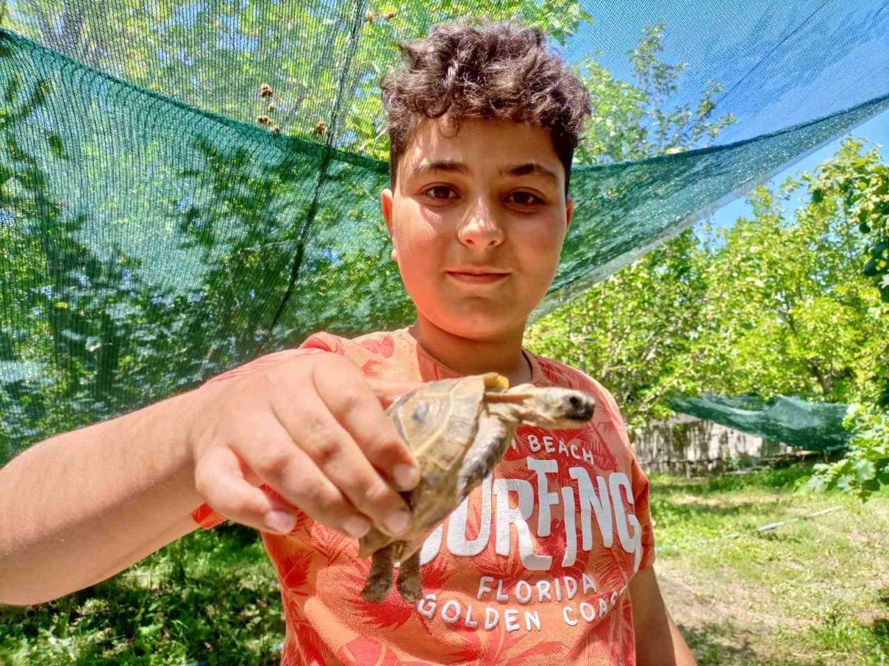 Bulduğu kaplumbağayı sahiplendi, evde elleriyle besliyor