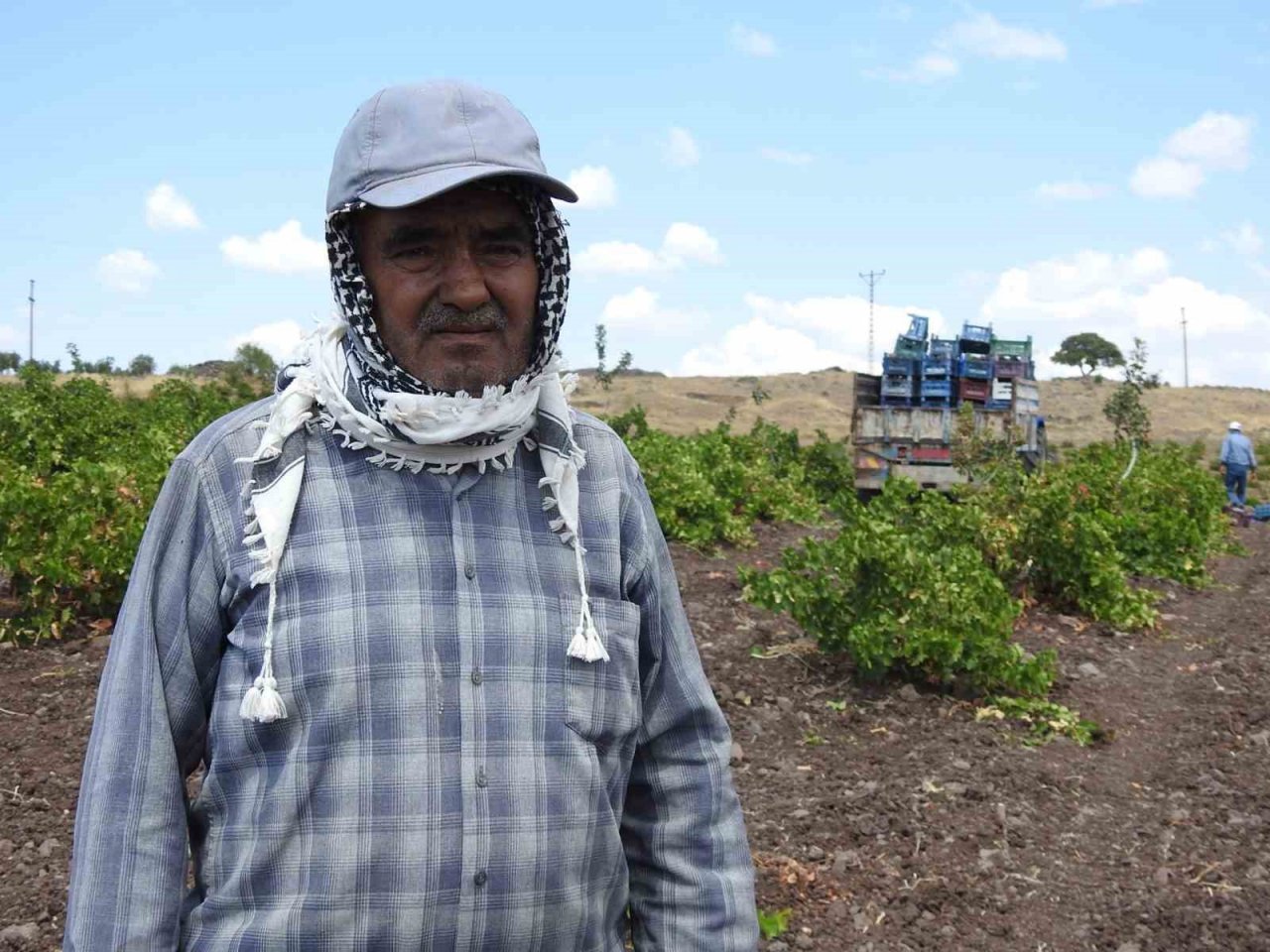Sınırın sıfır noktasında tarlalar siyaha boyandı