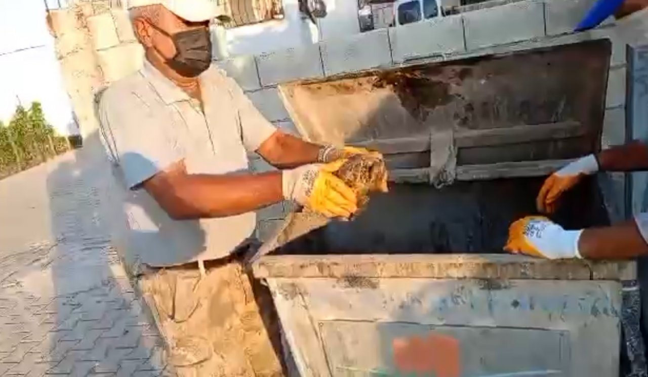 Çöpe atılan kaplumbağayı belediye personeli kurtardı