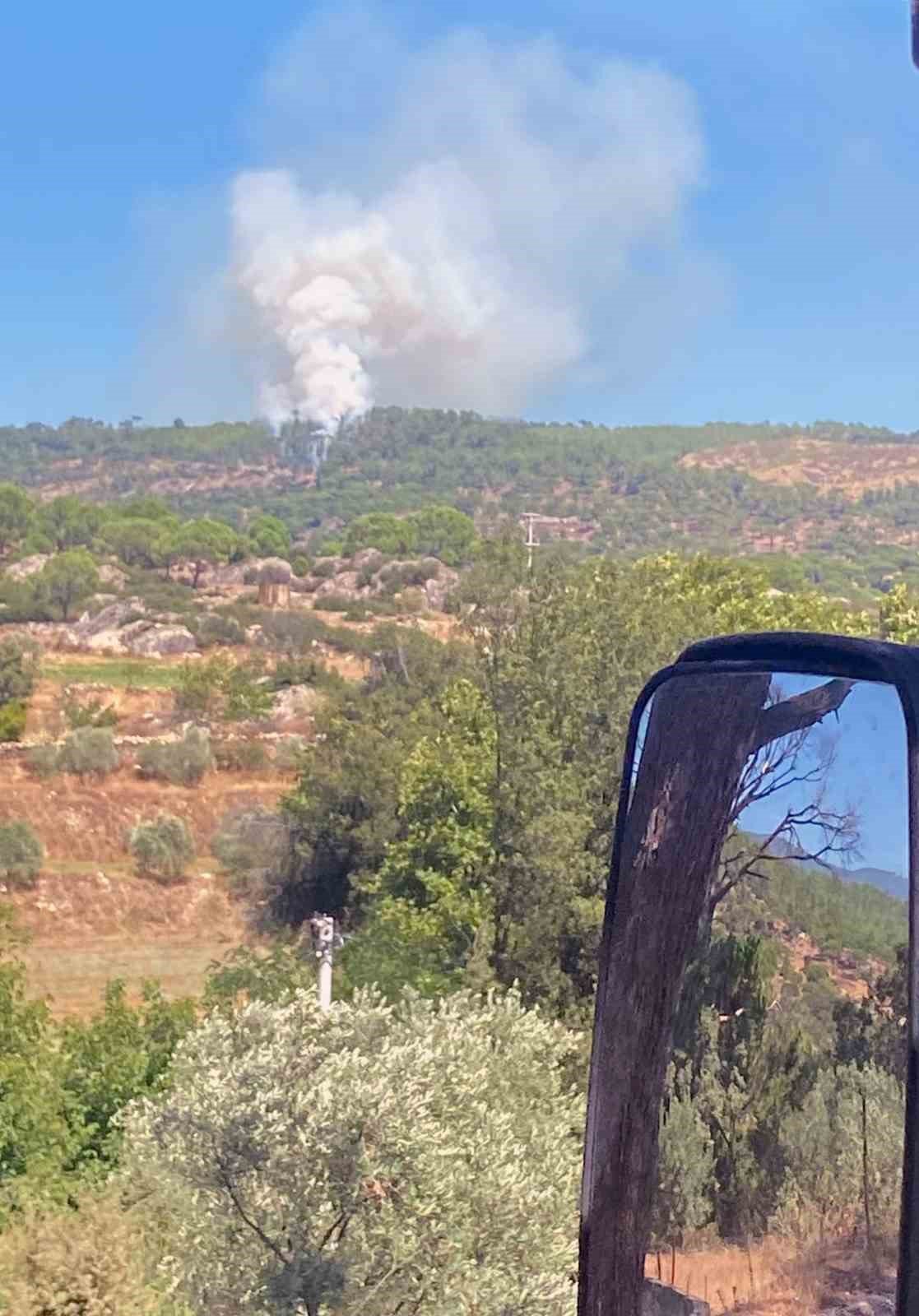 Muğla-Aydın sınırında yangın
