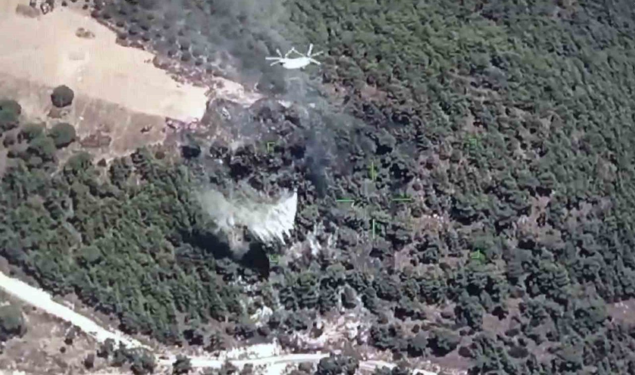 Muğla-Aydın sınırında yangın