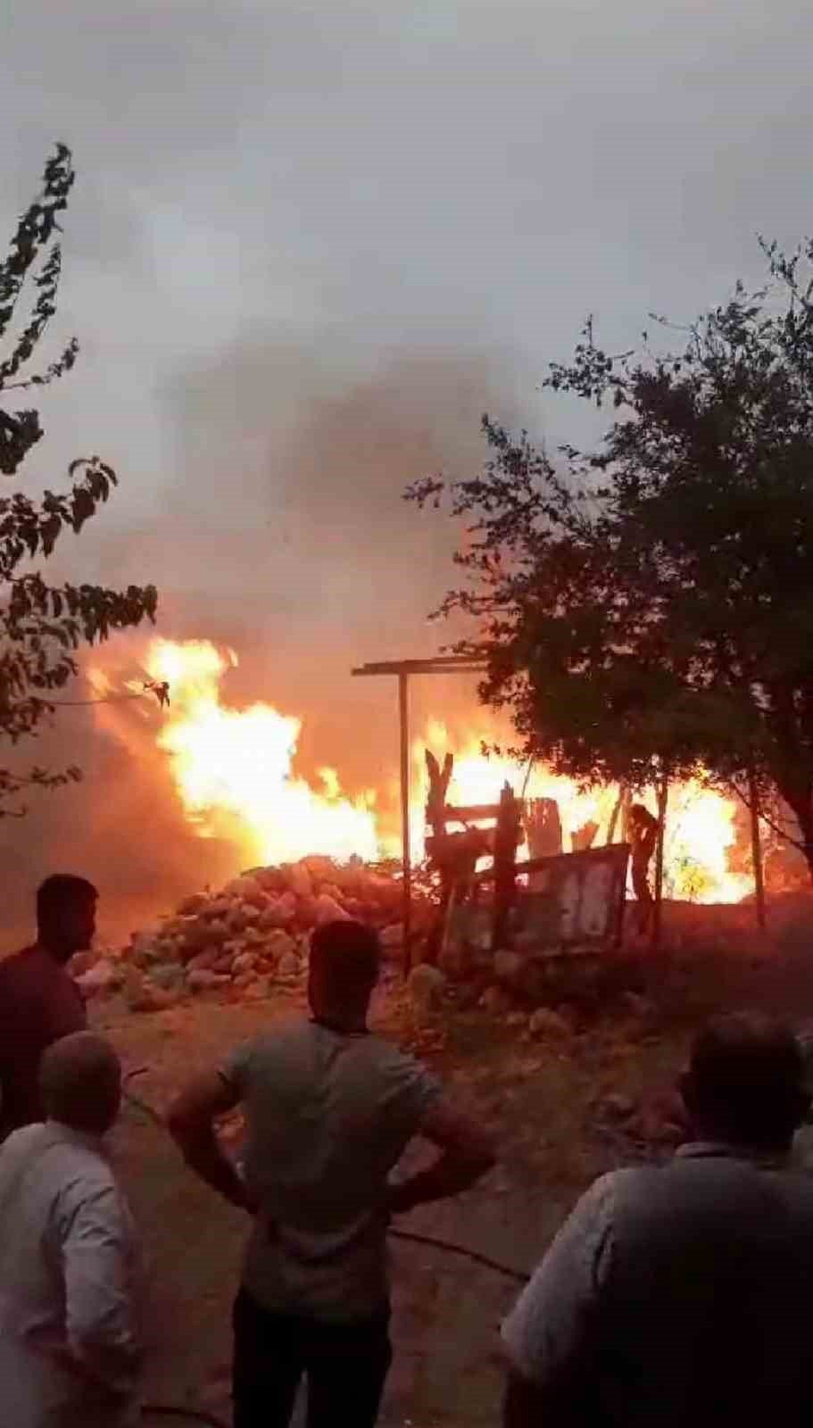 Siirt’te çıkan yangın maddi hasara neden oldu