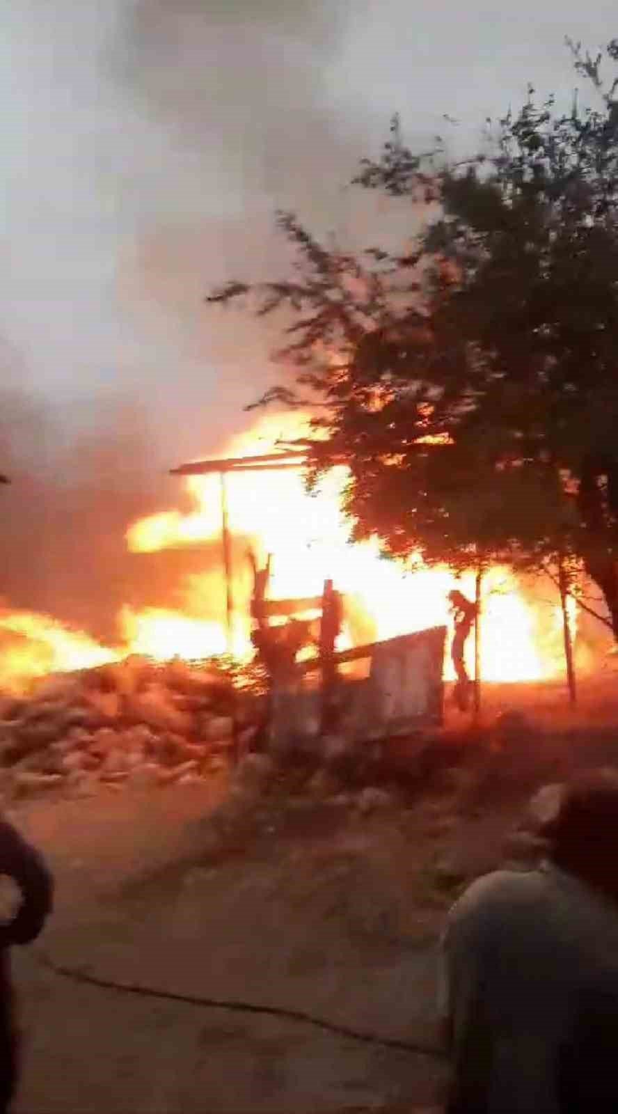 Siirt’te çıkan yangın maddi hasara neden oldu