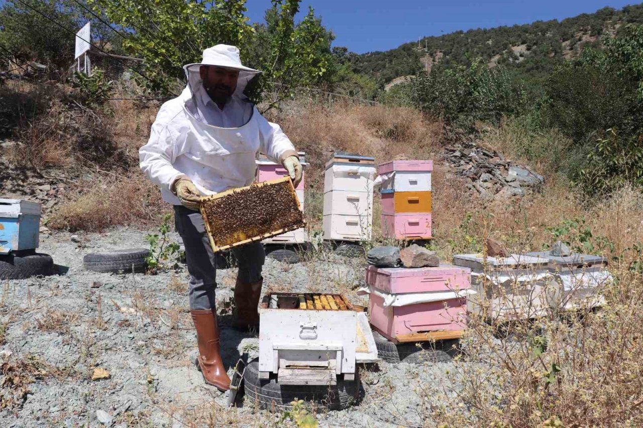 Mevsim normallerinin üzerindeki sıcaklıklar aracılığı olumsuz etkiliyor