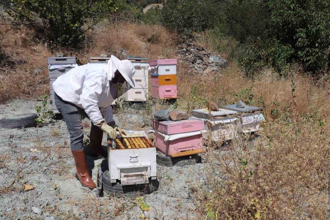 Mevsim normallerinin üzerindeki sıcaklıklar aracılığı olumsuz etkiliyor