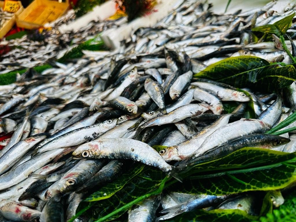 Av yasağı sona erdi, tezgahlar balıkla şenlendi