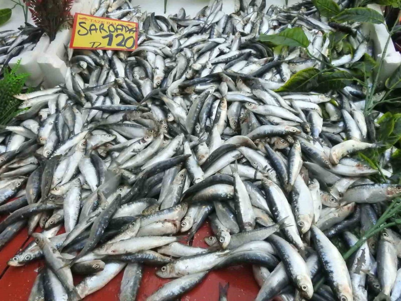 Av yasağı sona erdi, tezgahlar balıkla şenlendi