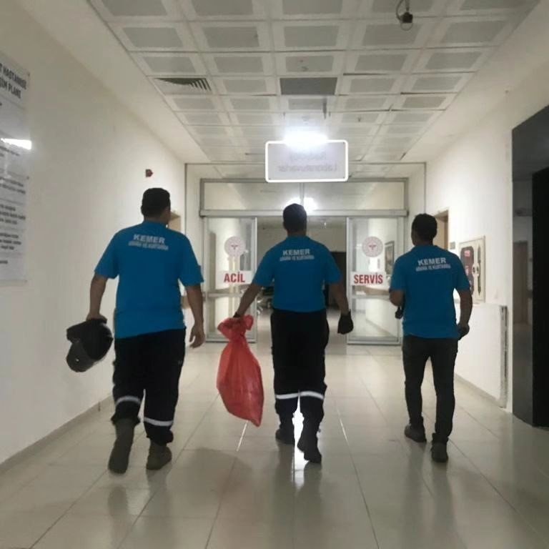 Hastaneye giren yılana operasyon