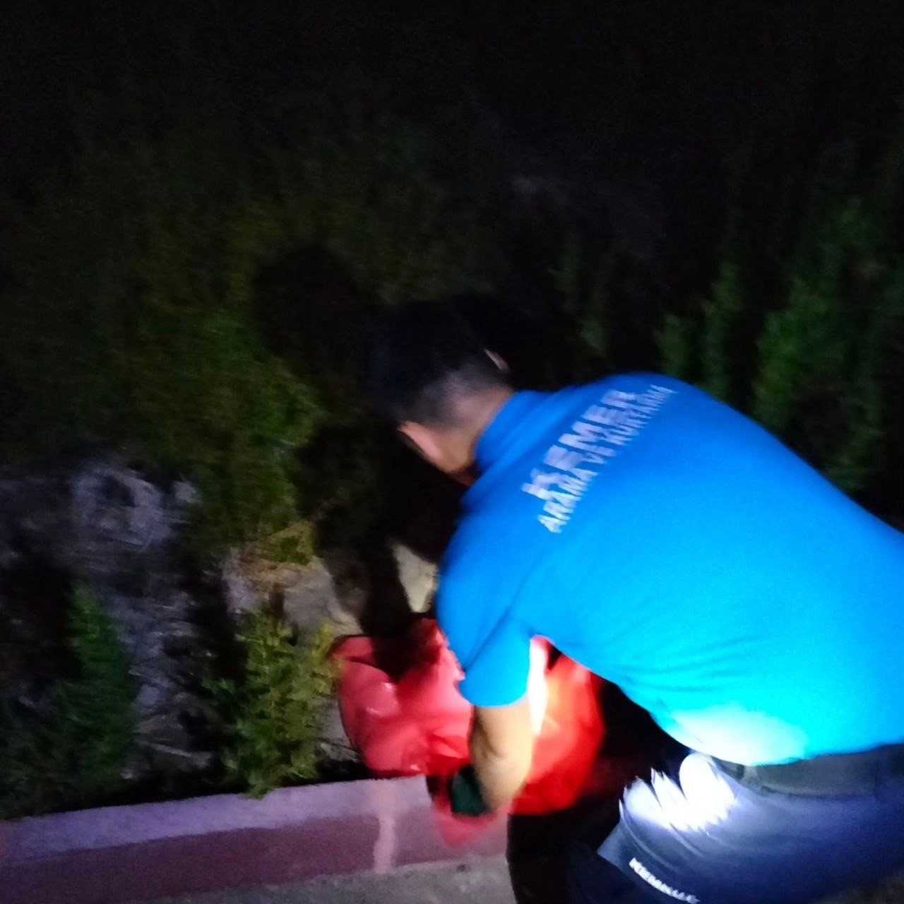 Hastaneye giren yılana operasyon