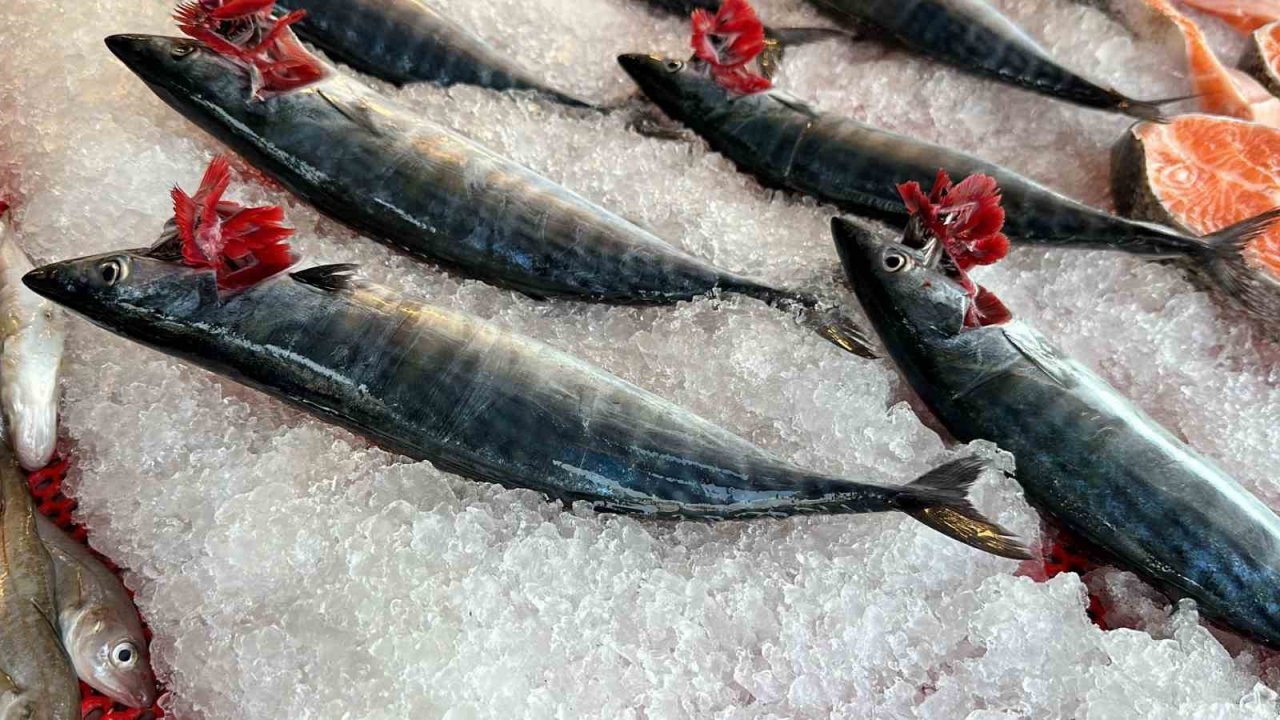 Taze balık tezgaha indi