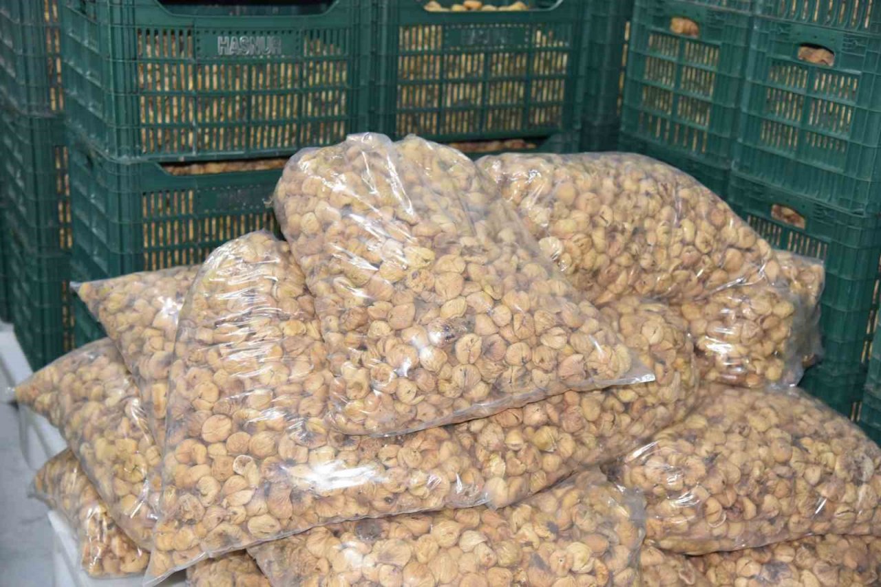 TARİŞ kuru incir fiyatları belli oldu