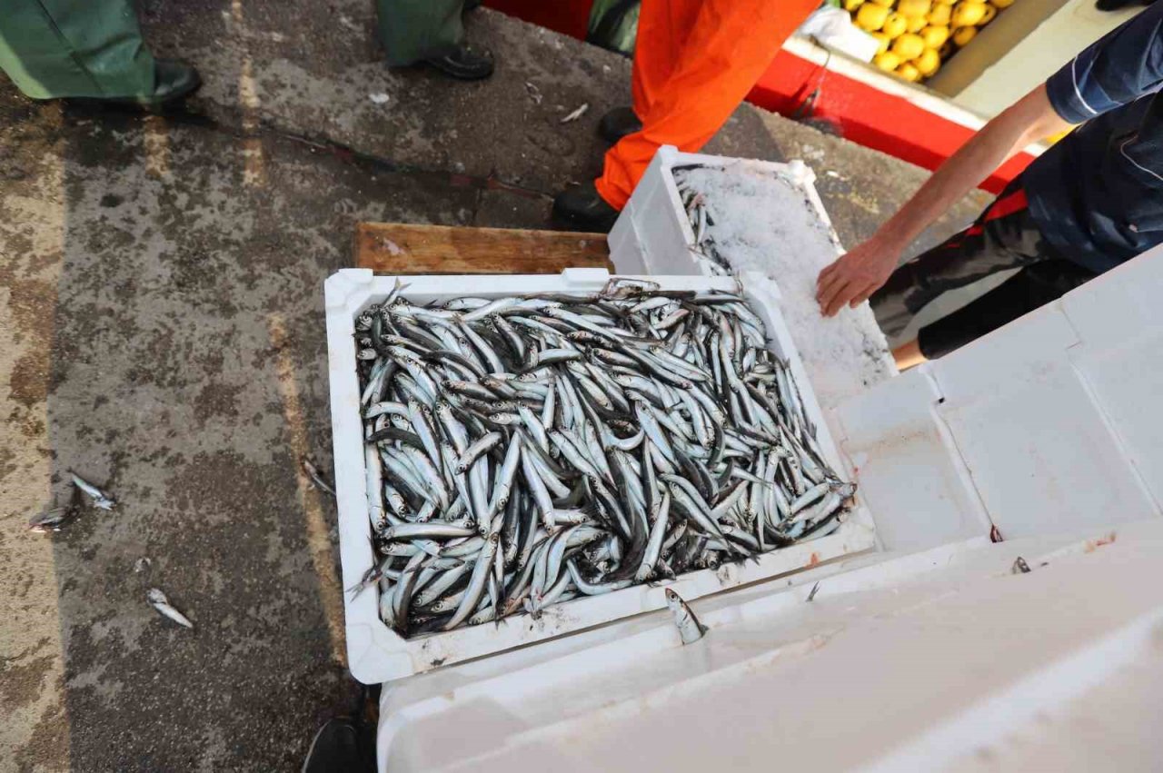 Bandırma’da balıkçılar ‘Vira Bismillah’ dedi