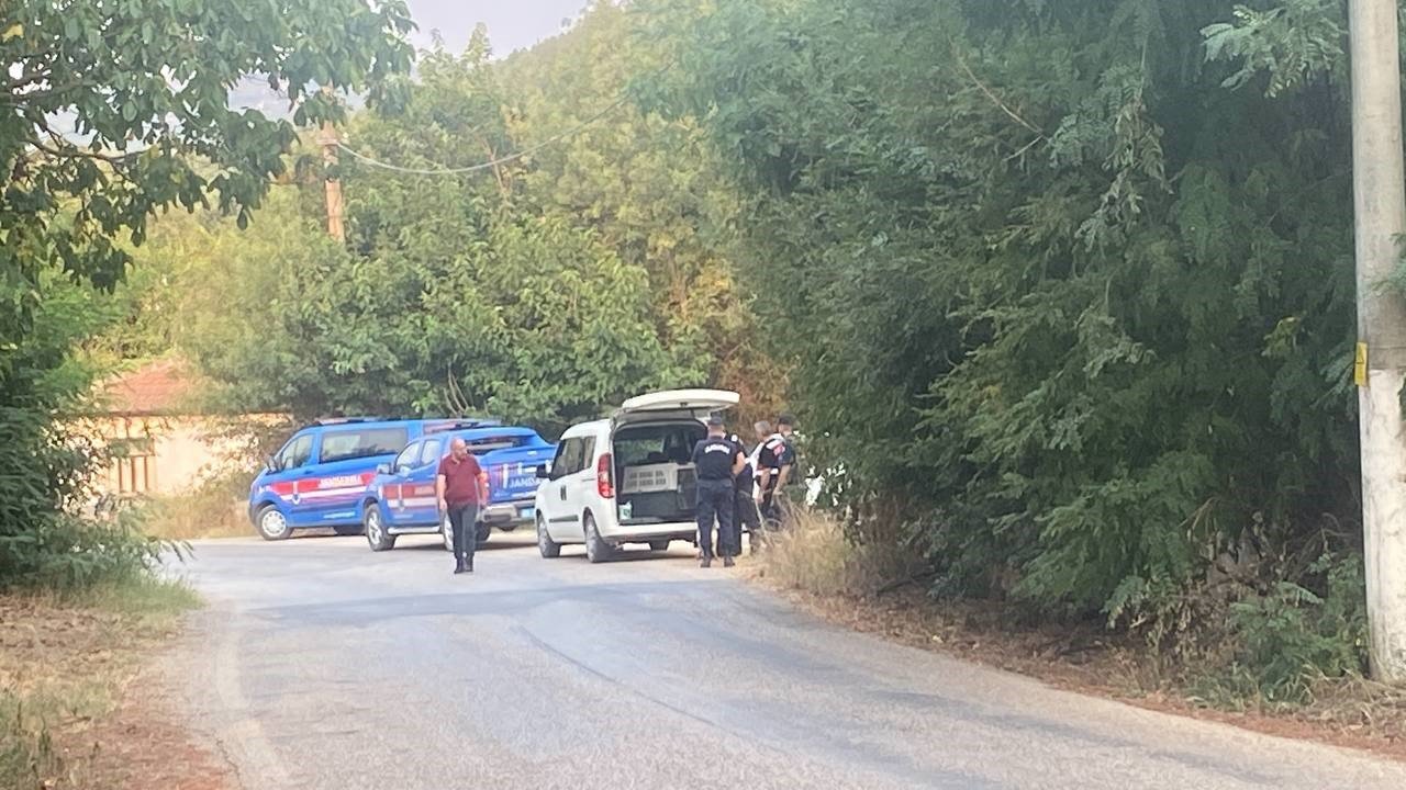 Tina, sahibi Korhan Berzeg’i arıyor