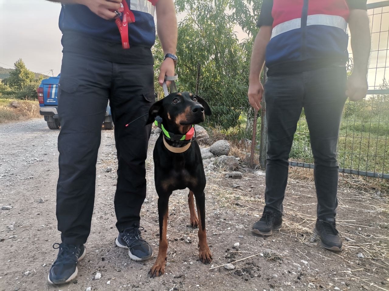 Tina, sahibi Korhan Berzeg’i arıyor