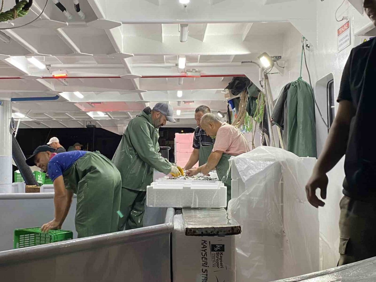 Av yasağı bitti, sezonun ilk balıkları avlandı