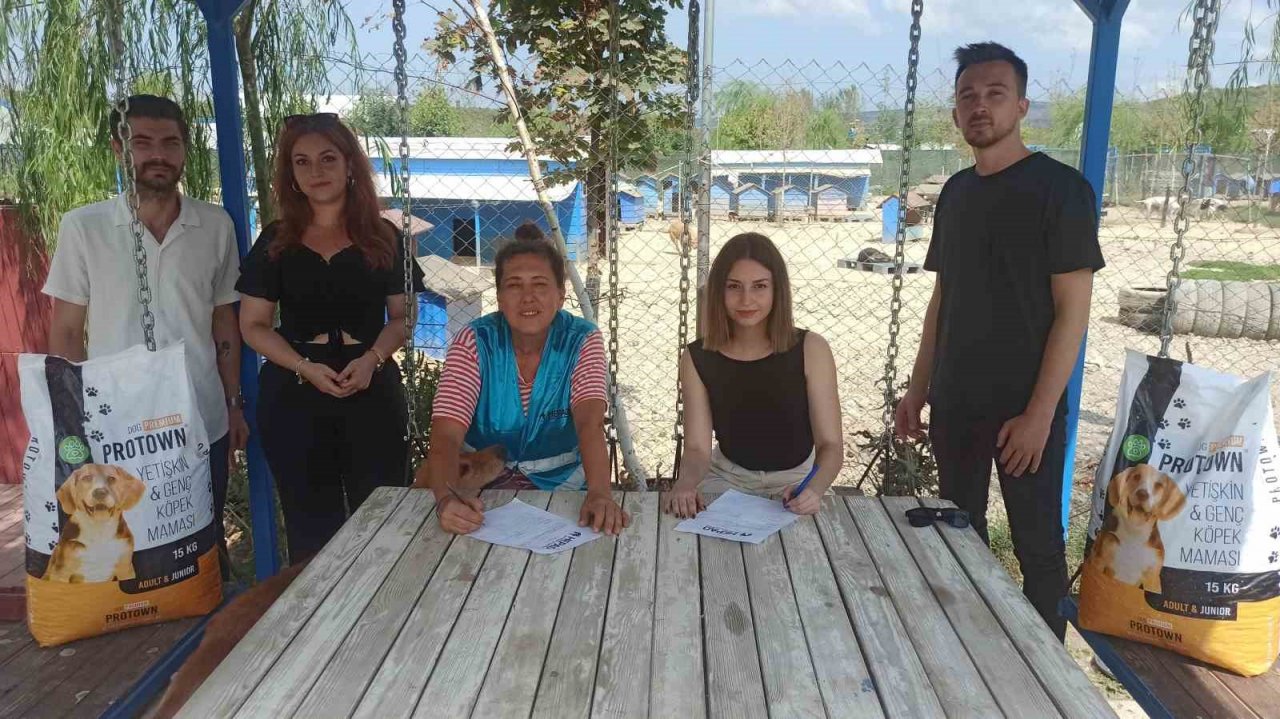 Bursalı firmadan sahipsiz hayvanlar için anlamlı destek projesi
