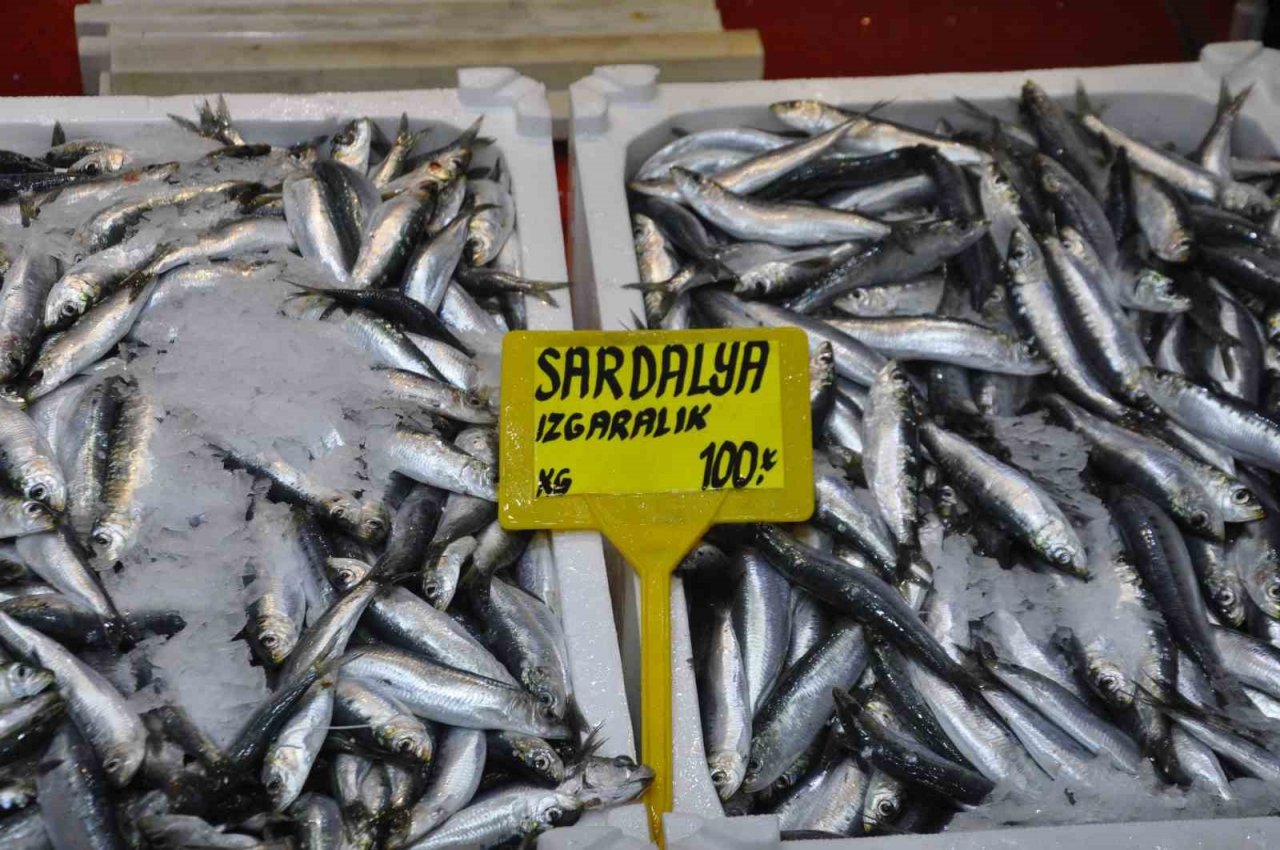 Av sezonunun ilk gününde sardalyenin fiyatı yarı yarıya düştü